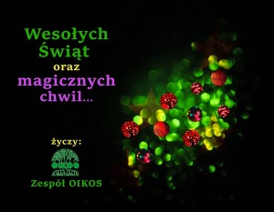 Wesołych Świąt Bożego Narodzenia Oraz Szczęśliwego Nowego Roku Życzy Zespół OIKOSlab